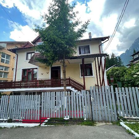 Constantinescu A. Hotel Busteni Ngoại thất bức ảnh