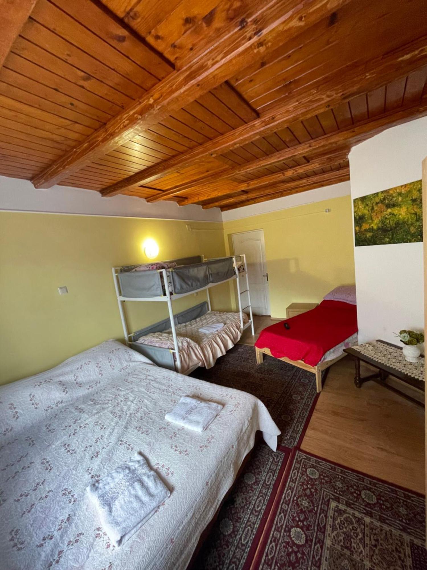 Constantinescu A. Hotel Busteni Ngoại thất bức ảnh